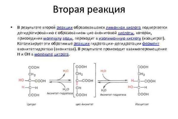 Зеркало kraken тор ссылка рабочее