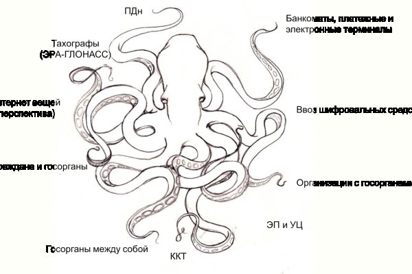 Как пополнить кошелек кракена